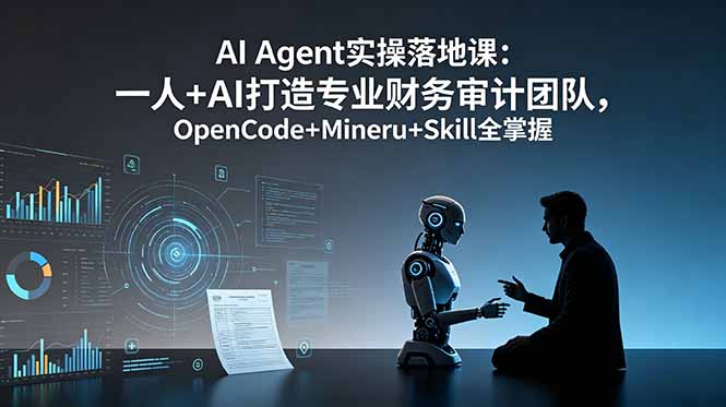 AI Agent实操落地课：一人+AI打造专业财务审计团队，OpenCode+Mineru+Skill全掌握-heixxmi