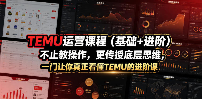 TEMU运营课程(基础+进阶)，不止教操作，更传授底层思维，一门让你真正看懂TEMU的进阶课-heixxmi