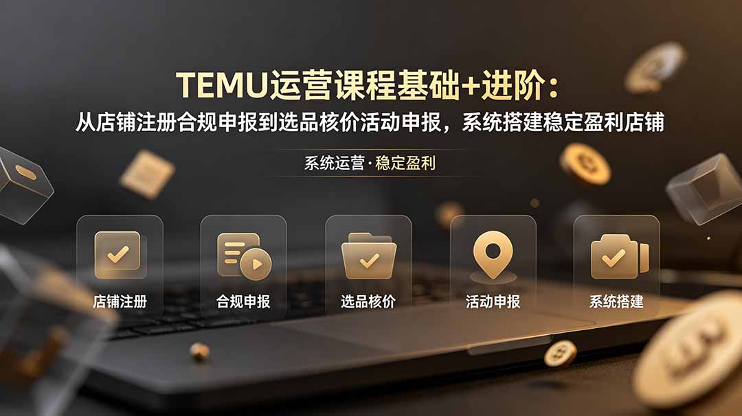TEMU运营课程(基础+进阶-heixxmi
