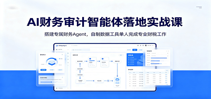 AI财务审计智能体落地实战课：搭建专属财务Agent，自制数据工具单人完成专业财税工作-heixxmi