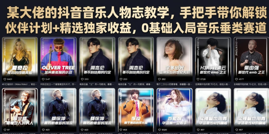 某大佬的抖音音乐人物志教学，手把手带你解锁伙伴计划+精选独家收益，0基础入局音乐垂类赛道-heixxmi