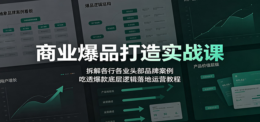 商业爆品打造实战课：拆解各行各业头部品牌案例，吃透爆款底层逻辑落地运营教程-heixxmi