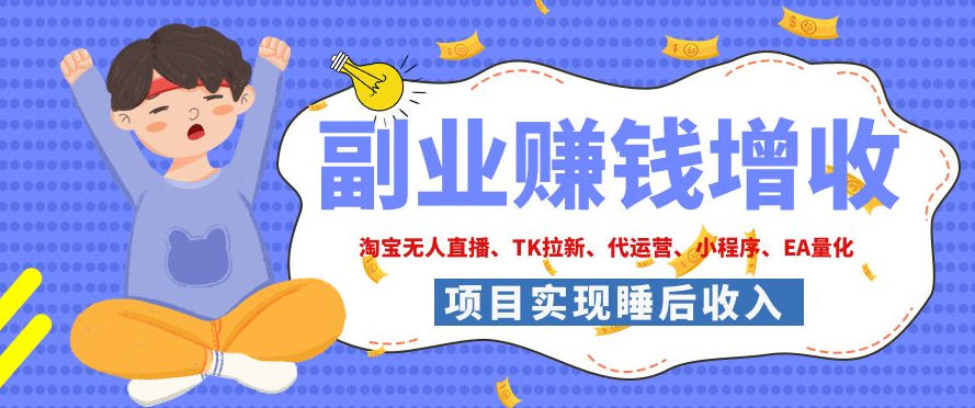 2026年多个真实落地副业项目，手把手带你搭建被动收入管道(淘宝无人直播、海外TK拉新、CSGO饰品交易、去水印小程序等)【揭秘】-heixxmi