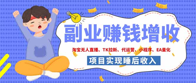 2026年多个真实落地副业项目，手把手带你搭建被动收入管道(淘宝无人直播、海外TK拉新...-heixxmi