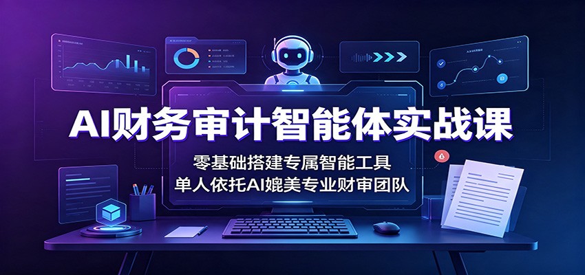 AI财务审计智能体实战课：零基础搭建专属智能工具，单人依托AI媲美专业财审团队-heixxmi