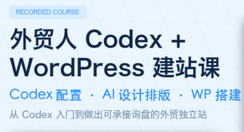 大卫·外贸人Codex + WordPress建站课(更新8月)-heixxmi