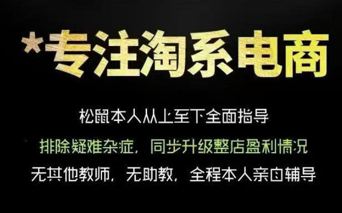 松鼠会电商VIP课程,从基础布局到高阶优化,助你掌握淘宝运营逻辑,提升店铺流量与转化(更新0815)