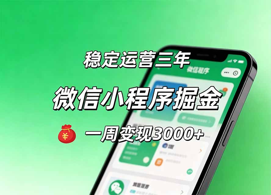 月收益稳定1W+的微信小程序，前期积累客户，后期躺平养老，小白轻松上手-heixxmi