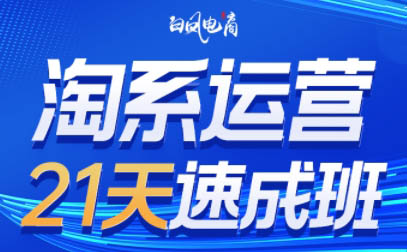 白凤电商·淘系运营21天速成班(更新8月)-heixxmi