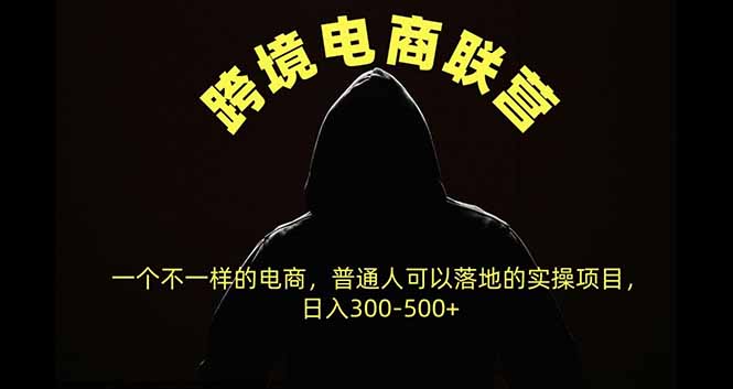 跨境电商联营，一个不一样的电商，普通人可操作日入300-500+-heixxmi