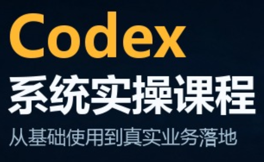 codex系统实操课程(更新10月)-heixxmi