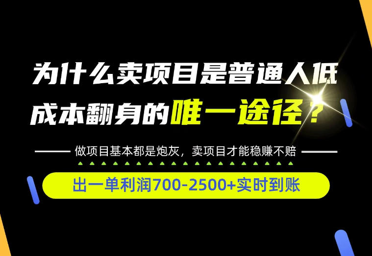 普通人如何靠互联网賺取自己的第一桶金！全类目实操型教学，看完你全都懂了！【揭秘】-heixxmi