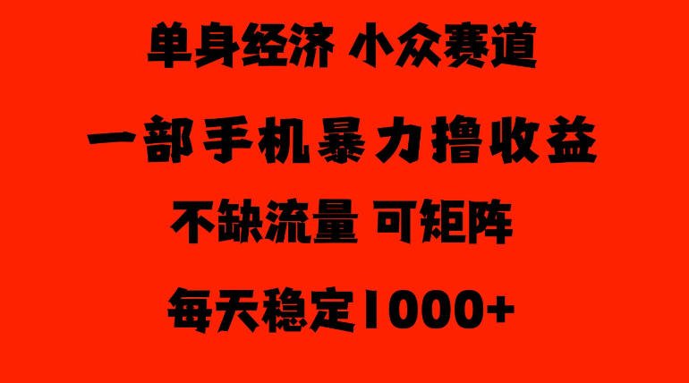 26年暴力单身经济，稳定日入500-1k，不缺流量，流量极大，冷门小众赛道，门槛低小白轻松上手【揭秘】-heixxmi