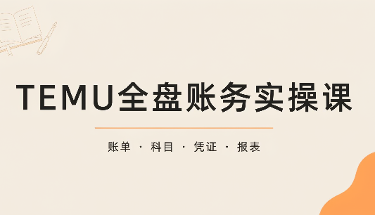 TEMU全盘账务实操课：账单导出、科目设置、利润核算-heixxmi